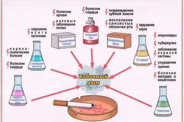 Общественное место: определение по закону и правила поведения